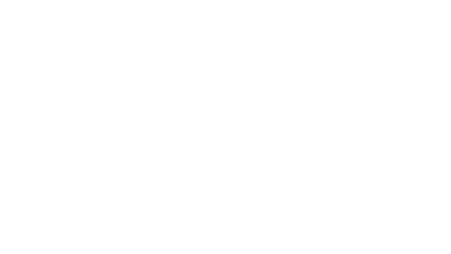 Max Original
